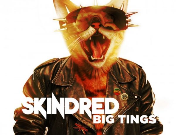 Skindred Big Tings
